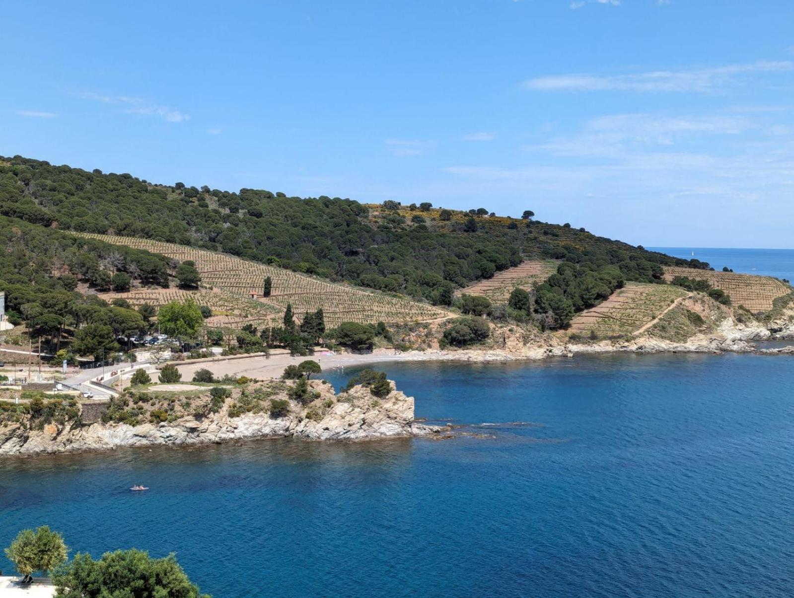 Grand Studio Avec Vue Sur La Mer Et Parking Banyuls-sur-Mer Esterno foto